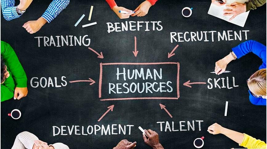The importance of professional training for human resources in the hotel industry?