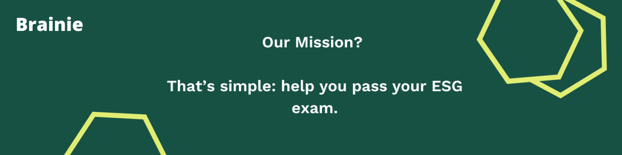 Top 5 Challenges for CFA ESG Exam Candidates and How to Overcome Them Top 5 Challenges for CFA ESG Exam Candidates and How to Overcome Them