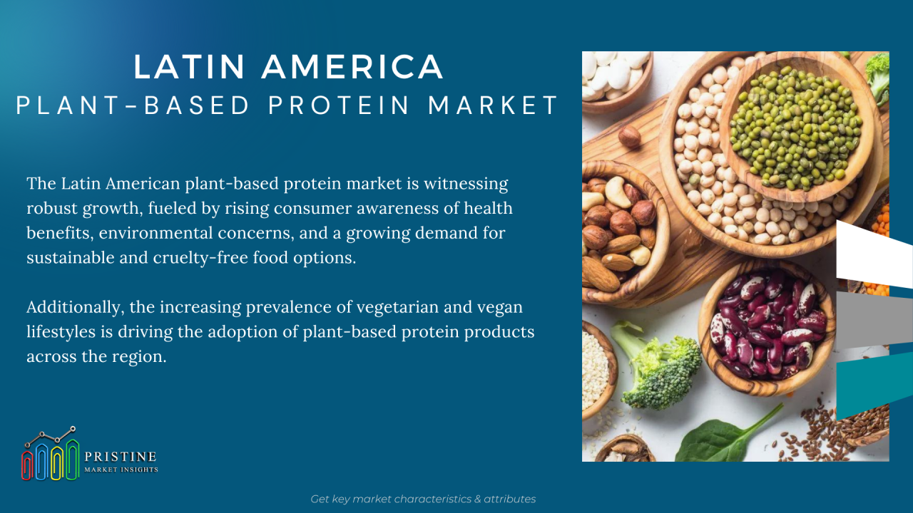 Latin America Plant based Protein Market Research 2024 34 Latin America Plant based Protein Market Research 2024 34