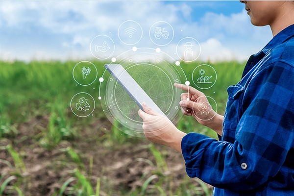 El futuro de la producción Agrícola: innovación y tecnología en el campo