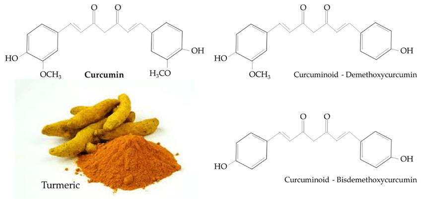 Health Benefits of Curcuma Longa & Curcuminoids based on Scientifically Published literature