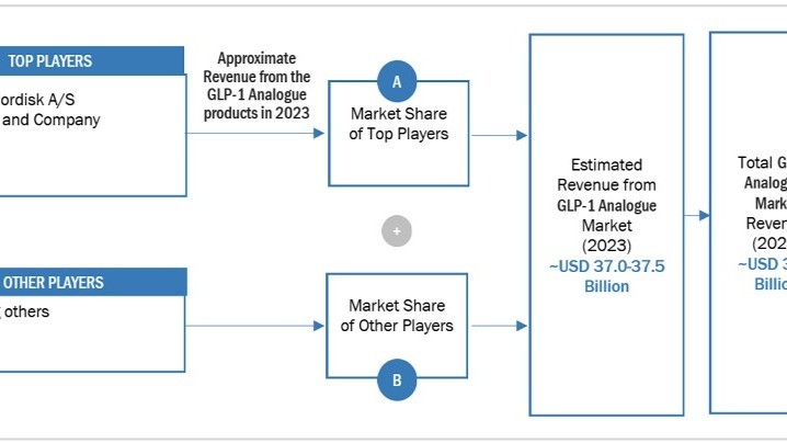 glp 1 analogue market Global GLP-1 Receptor Agonist Size, Forecast GLP-1 Analogues Market: A Rapidly