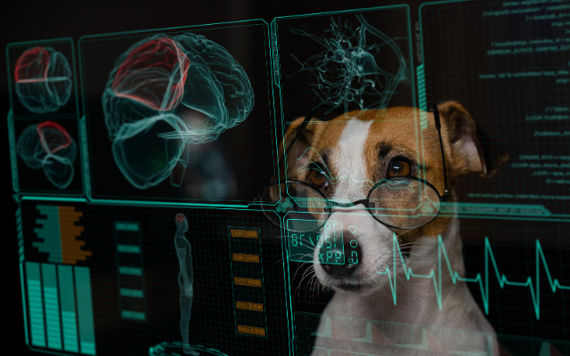The Impact of Advanced Tech on Dogs' Physical and Mental Health