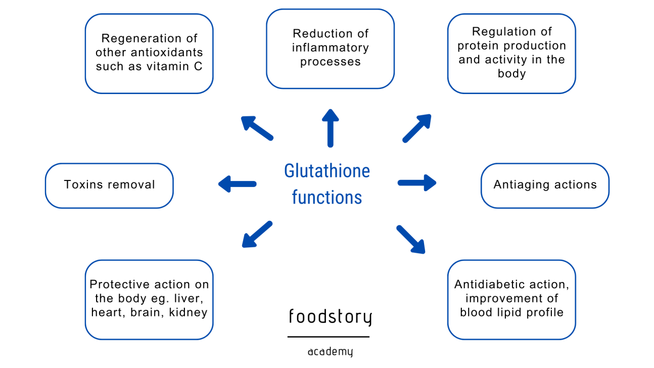 glutathione is composed of Glutathione-Mediated Conjugation Anticancer Drugs: An Overview of Reaction Mechanisms and Biological Significance for Drug Detoxification and Bioactivation What is Glutathione? GoldBio