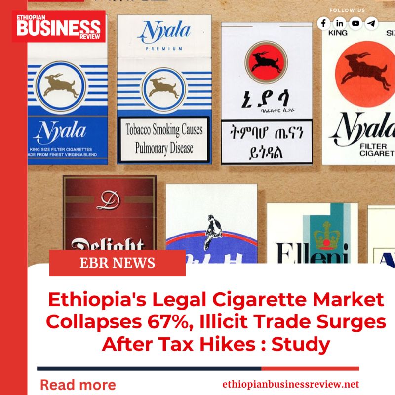 national tobacco enterprise ethiopia - Job Vacancy For fresh Graduate | Career 2023 Ethiopia's Capital Addis Ababa Introduces