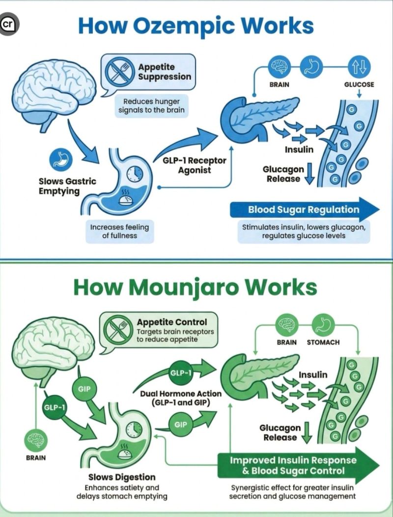 semaglutide hunger pains Why Am I Still Hungry on Ozempic? Causes and Solutions Bolt Pharmacy Why Do I Still Feel