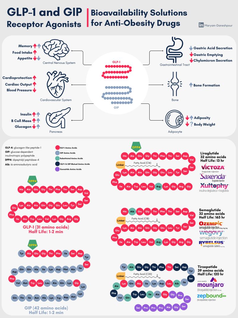 glp 1 generic name Types of GLP-1 Medications for Weight Loss: Differences, Uses & Safety GLP-1 Daily Support 21st