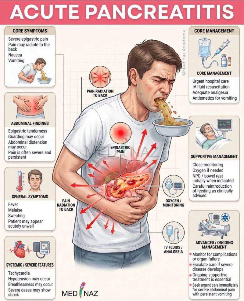 tirzepatide pancreas Ozempic and Pancreatitis: Can Semaglutide Cause Pancreatitis? Pancreatic Safety of Tirzepatide and