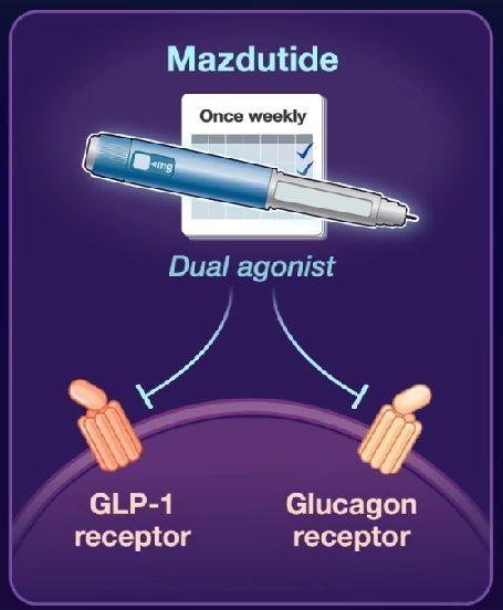 dual glp-1/glucagon receptor agonists Glucagon-like peptide-1 receptor: mechanisms and advances in therapy Understanding the Difference: While both