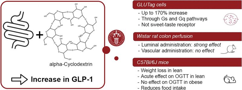 can glutathione increase weight Do-Glutathione-Injections-Cause-Weight-Gain What Is Glutathione? Health Benefits,