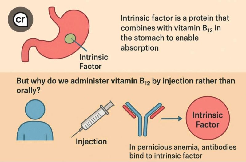 b12 injections hardin valley Boost Energy and Wellness with Rx b12 injections hardin valley Vitamin