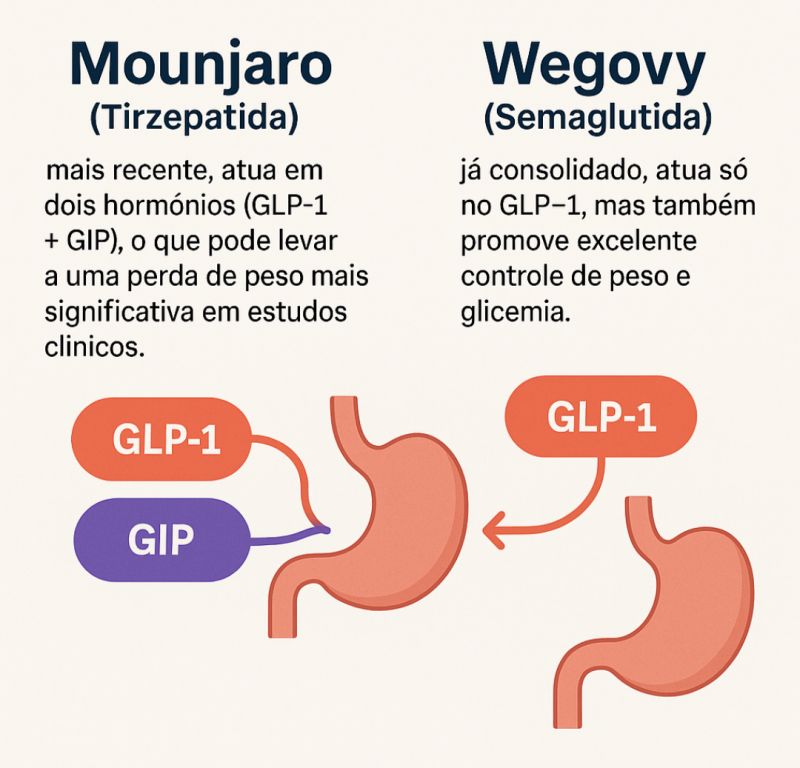 glp 1 funo Brasil Hormnios intestinais no diabetes e