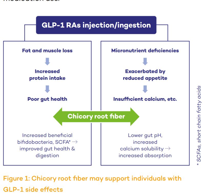 chicory root glp 1 Prebiotic fiber found to boost weight loss via cascade of metabolic effects in literature review Physician's CHOICE Fiber Gummies for