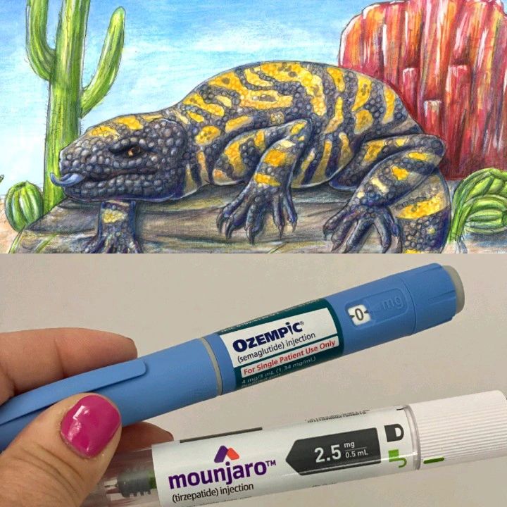 is semaglutide made from animals (Ozempic): Lizard Spit to a Once-Weekly Wonder diabetes #drugdiscovery #medical_toxicology #pharmacist |
