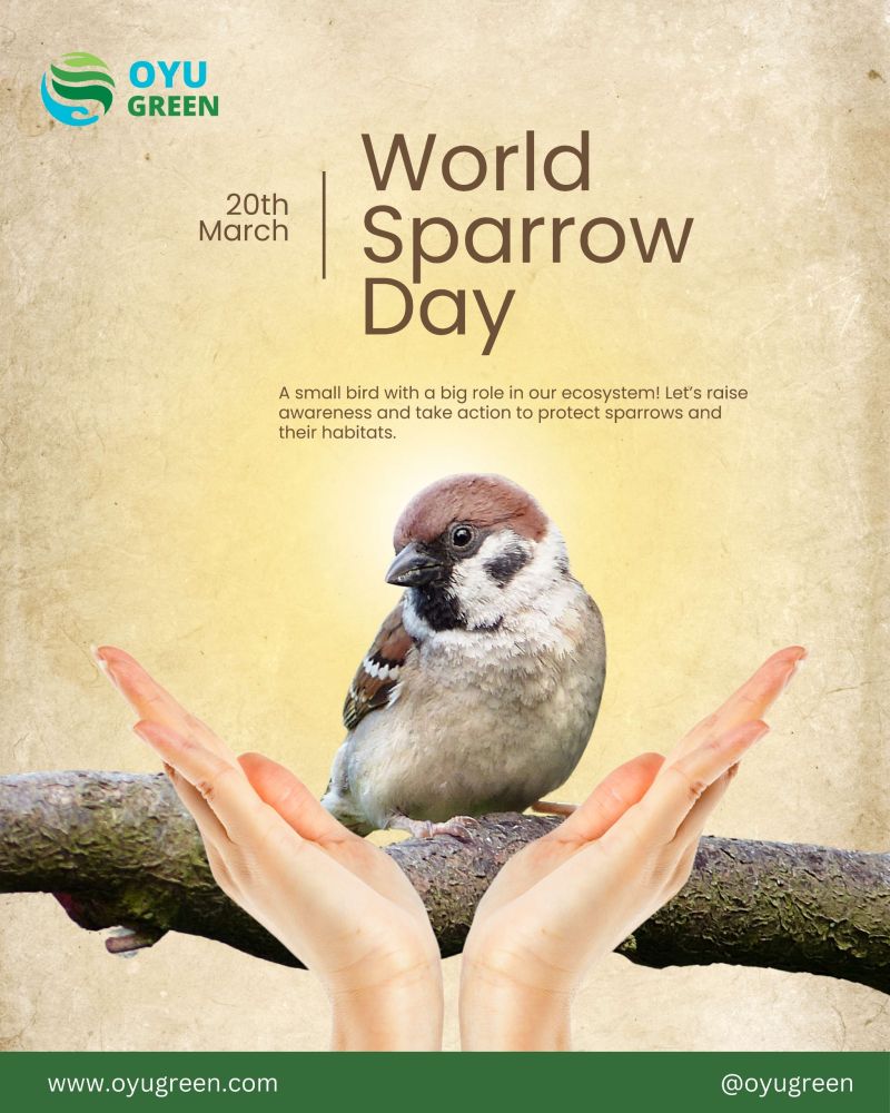 Big Sparrow {Poster} Big Sparrow {Poster}