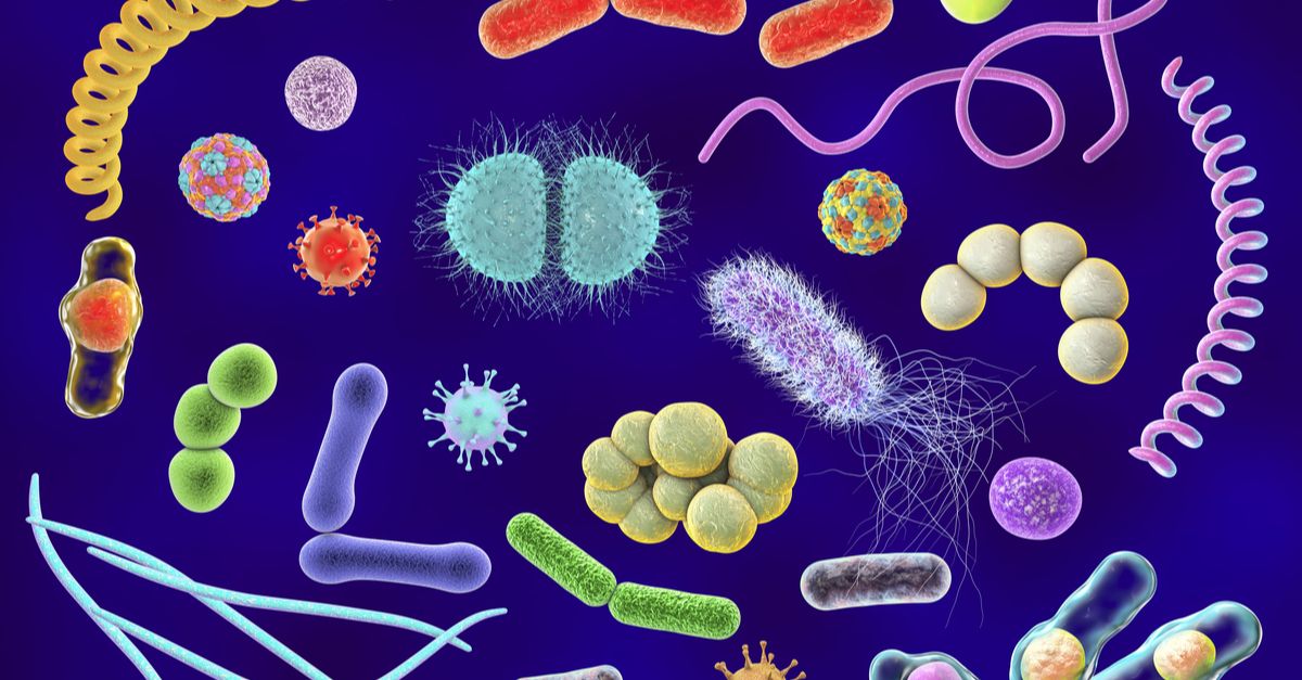 Dr Minshad Ali Ansari on LinkedIn: #microbes Dr Minshad Ali Ansari on LinkedIn: #microbes