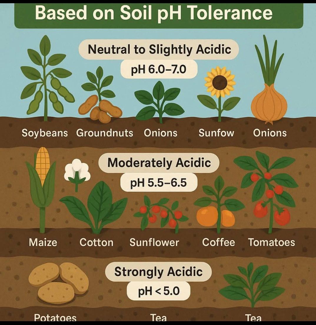 No alternative text description for this image