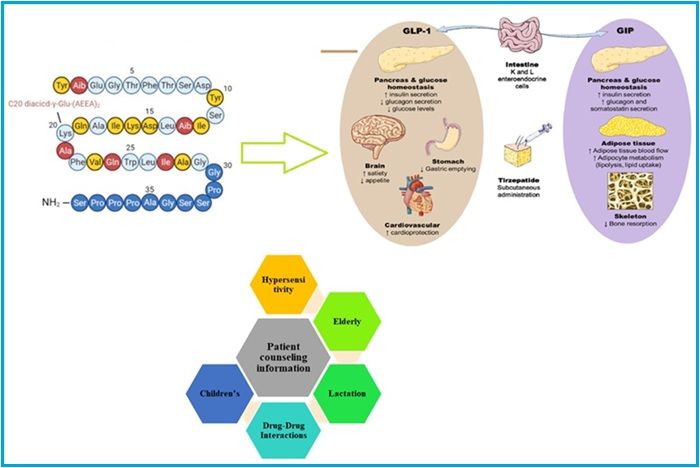 mechanism of action tirzepatide The promise tirzepatide: A narrative review of metabolic benefits Tirzepatide for diabetes: on track