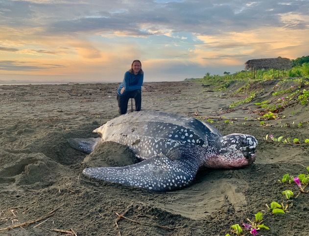Adrianne Stelzenmuller - Aquatic Therapist/Massage Therapist/Personal Trainer - MBLEx/Integrative Healthcare Practitioner/Health Coach/Intuitive | LinkedIn