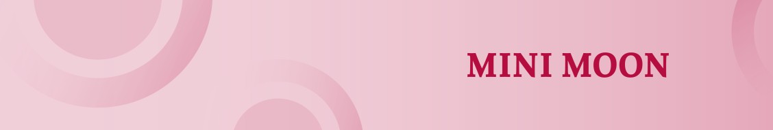 Mini Moon Lingerie LinkedIn Mini Moon Lingerie LinkedIn