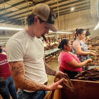 dunn and foster tobacco farm #dunnandfoster #pisano #bultos #farmerbales #hombres #contenedor #tabaco #tobacco #work #trabajo Tobacco Fields #1 Painting by Heart of Darkness | Cigar
