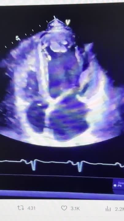 COURTNEY WILLIAMS on LinkedIn: Wow 13 comments COURTNEY WILLIAMS on LinkedIn: Wow 13 comments