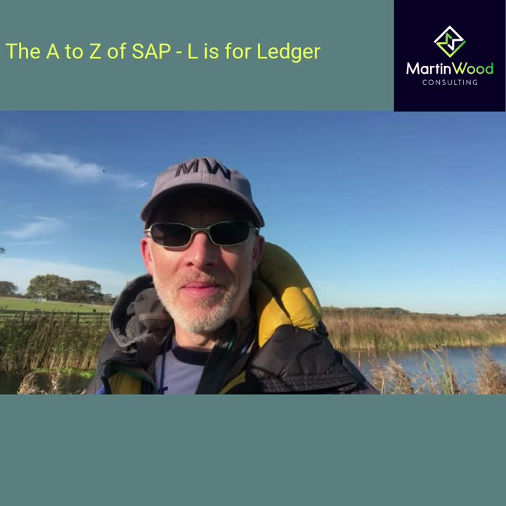Martin Wood on LinkedIn: #sap #atozofsap #saptraining #makingyousappy Martin Wood on LinkedIn: #sap #atozofsap #saptraining #makingyousappy