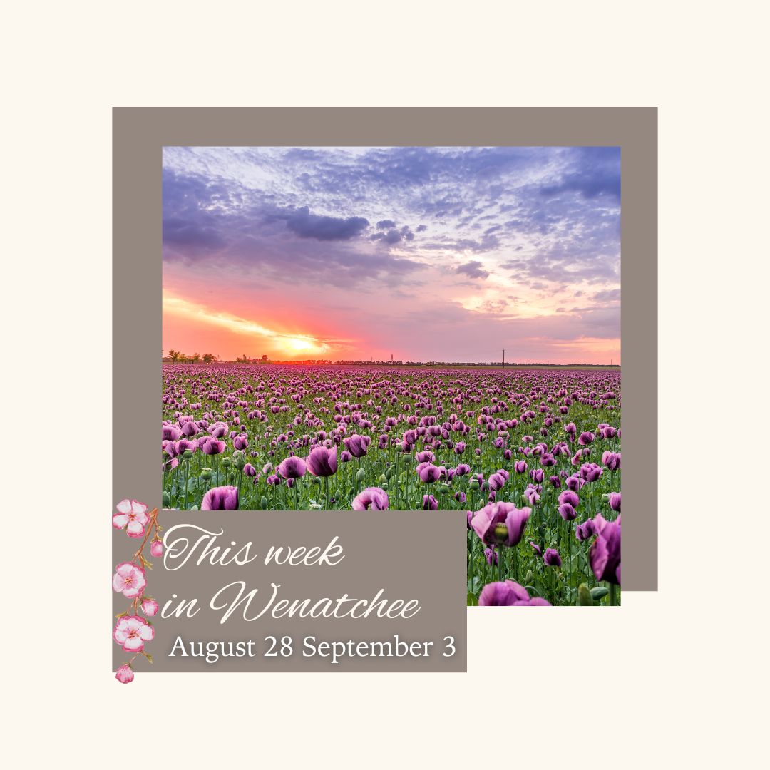 Wenatchee Convention Center on LinkedIn: Take a look at our events Wenatchee Convention Center on LinkedIn: Take a look at our events