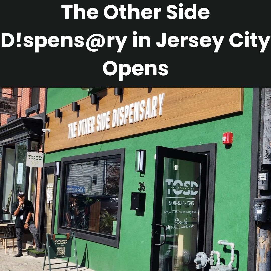 Heady NJ on LinkedIn: The minority female LGBTQ owned The Other Side Heady NJ on LinkedIn: The minority female LGBTQ owned The Other Side