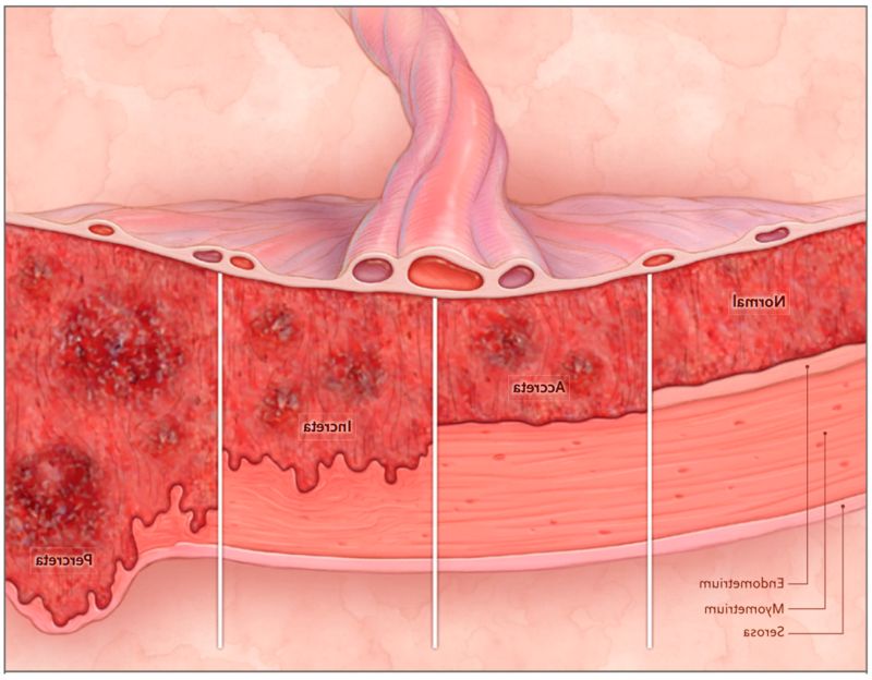 tirzepatide treatment winter haven fl Tirzepatide Cost for Medical Weight Loss in Winter Park FL