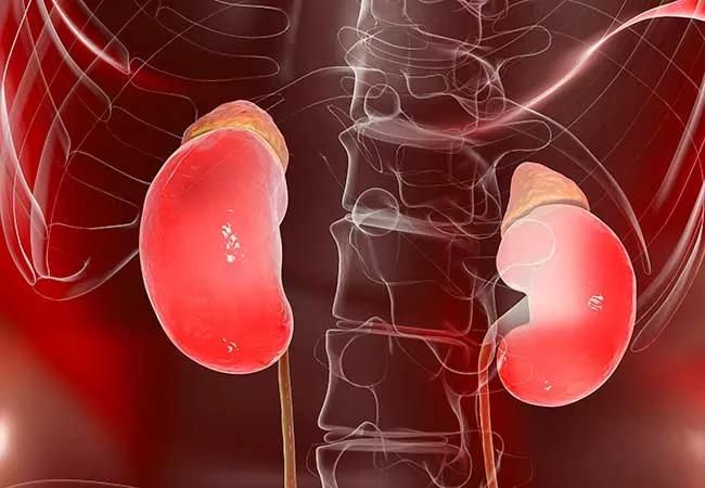 semaglutide in chronic kidney disease Semaglutide: A Breakthrough for Semaglutide Impact on Diabetes and