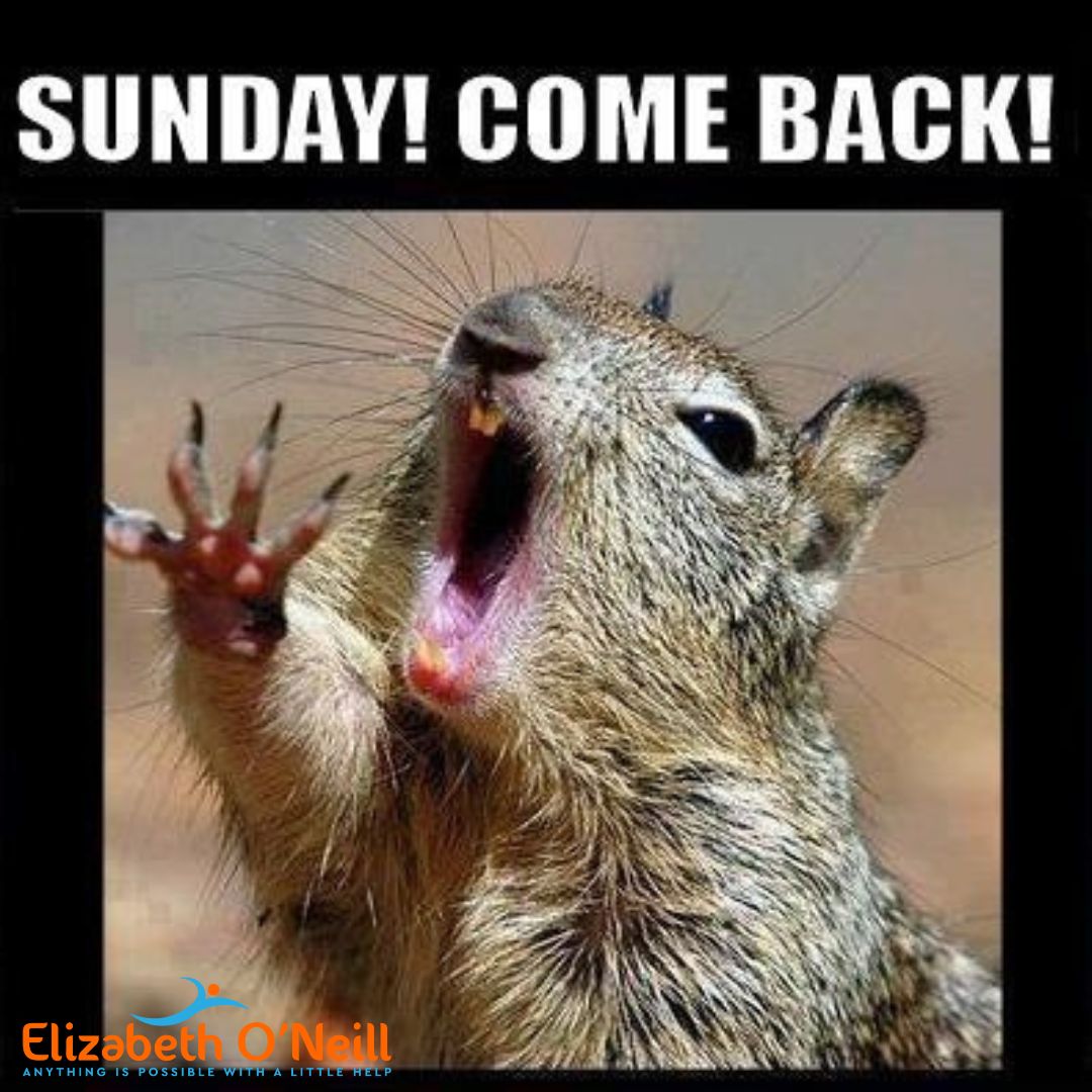 The #39 Sunday Scaries #39 In my work with technical leaders I hear about The #39 Sunday Scaries #39 In my work with technical leaders I hear about