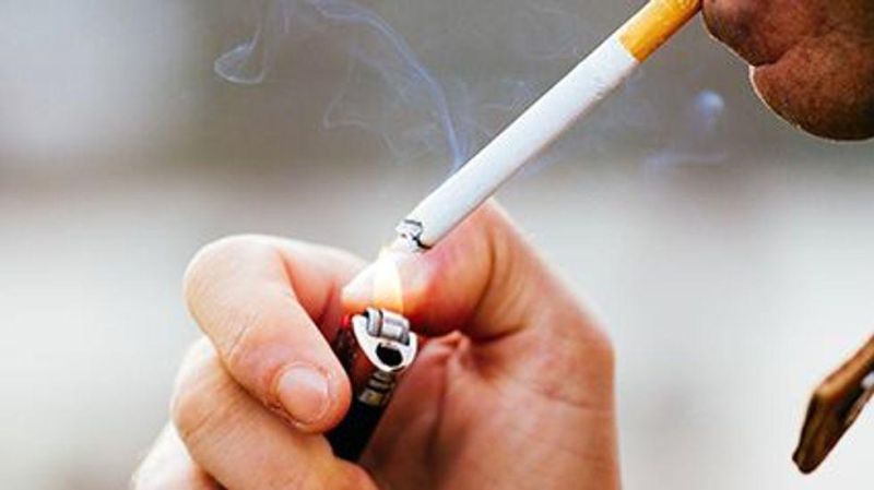 does melissa mccarthy smoke cigarettes Movie Review: is 'The Boss' as star and co-writer Melissa McCarthy on Her e.l.f.