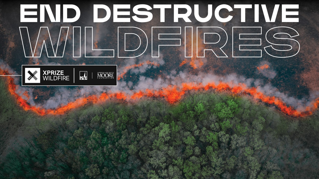 Revolutionizing Wildfire Response: A Hopeful Future Is Taking Shape | LinkedIn
