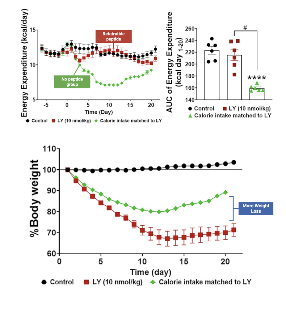 retatrutide energy expenditure The future of metabolic science is here, and it's called Retatrutide. 3 receptors, 1 goal. #Biotech #weightloss #Retatrutide #peptides #wellness Substack Series 3 of 6: