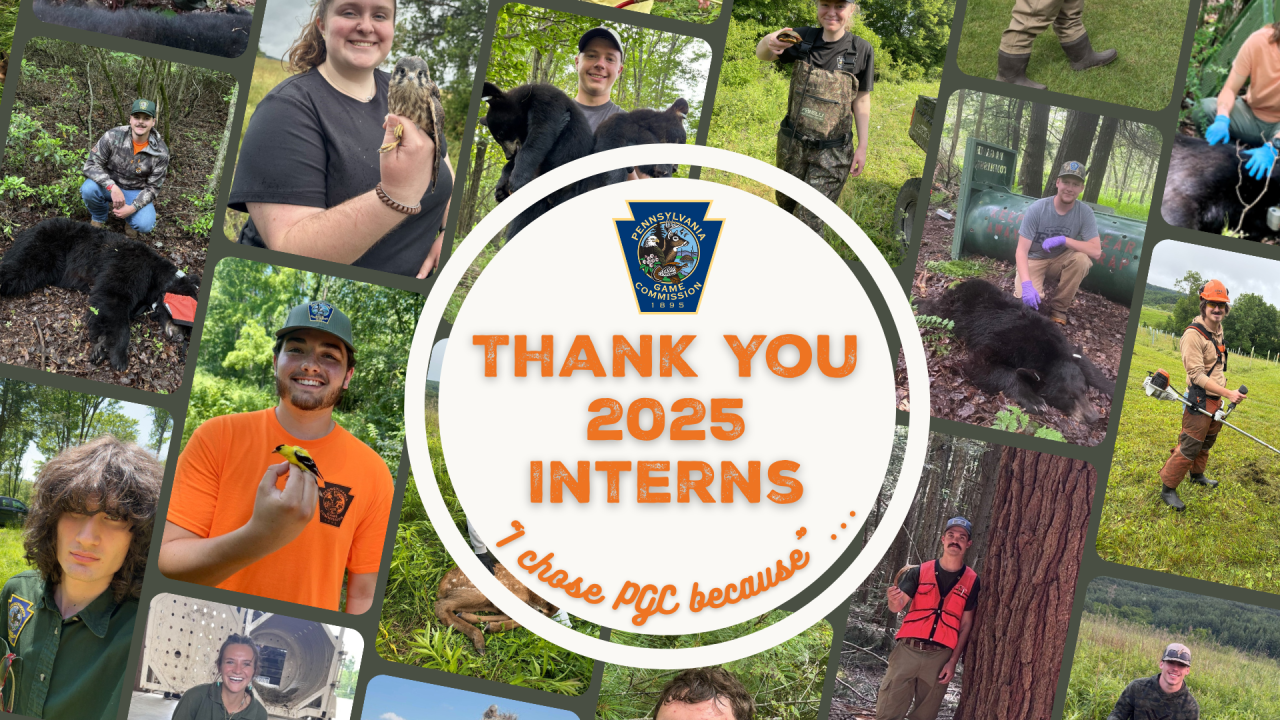 Intern Spotlight Meet our 2025 Interns Intern Spotlight Meet our 2025 Interns