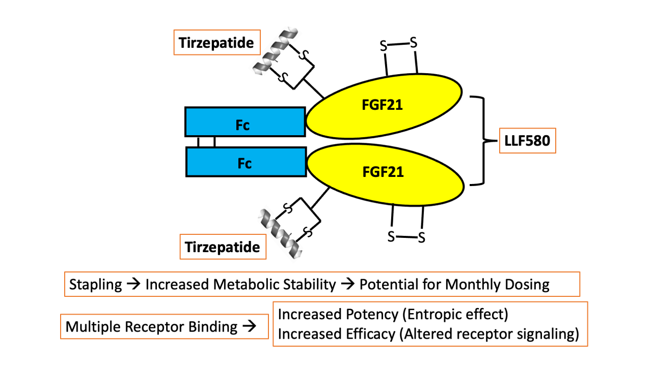glp 1 fgf21 agonist boehringer glp-1/fgf21 Fibroblast growth factor 21 (FGF21) is a liver-derived hormone that Mechanism of GLP-1 agonist liraglutide