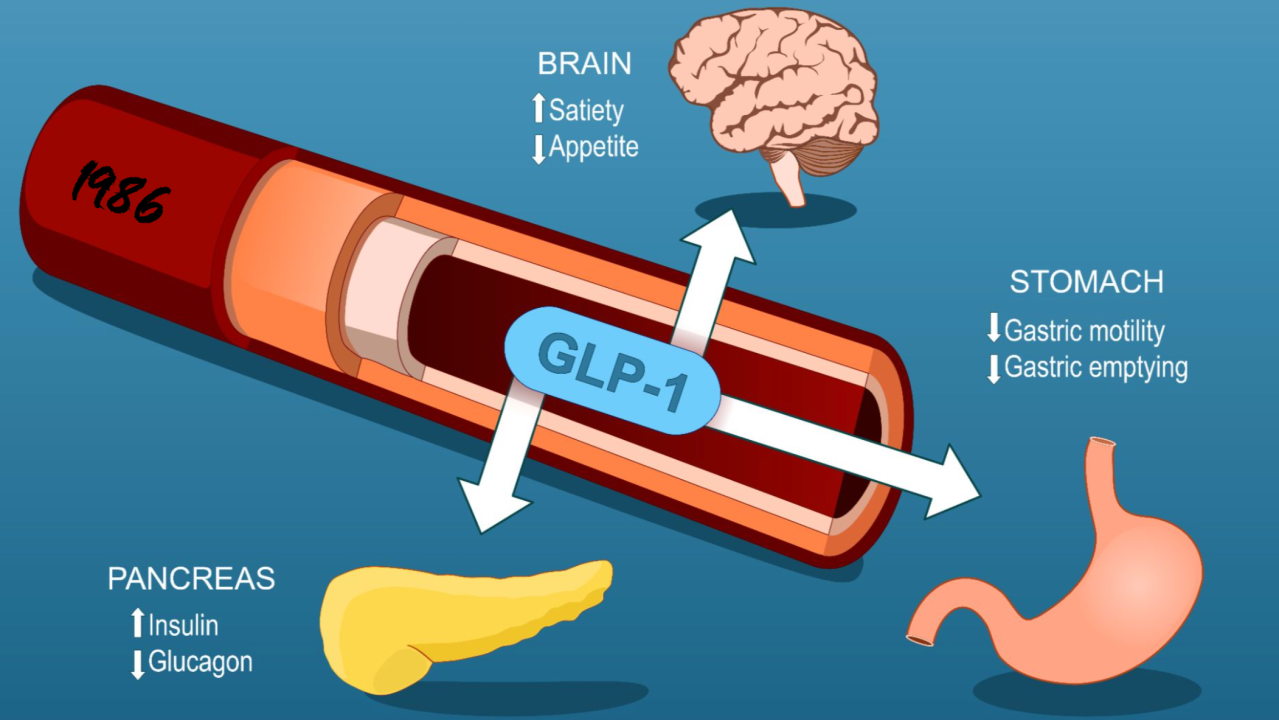 obesity and glp 1 Nutritional priorities to support GLP-1 therapy for obesity: A joint advisory from the American College of Lifestyle Medicine, the American Society for Nutrition, the Medicine Association, the Obesity Society Obesity GLP-1 Market