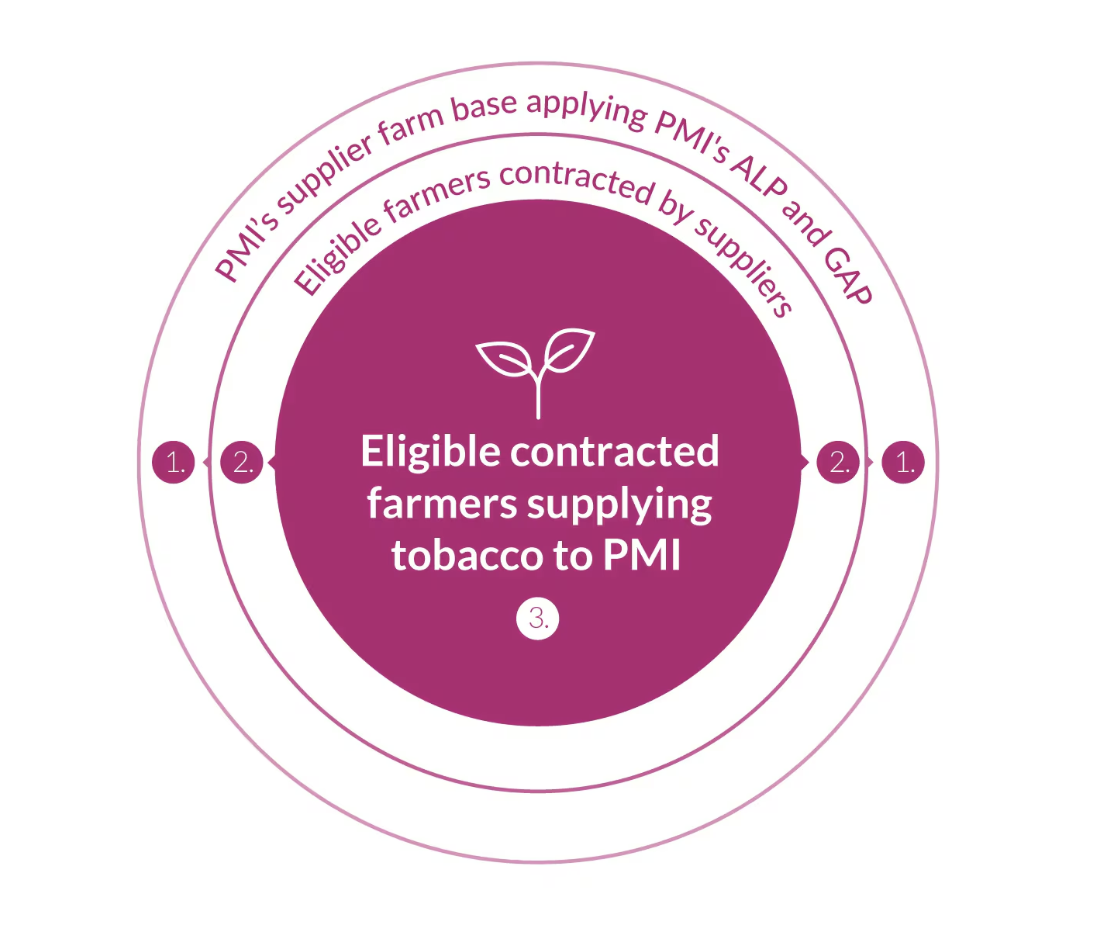 tobacco supply chain Understanding the PMI's ALP program and Sustainable