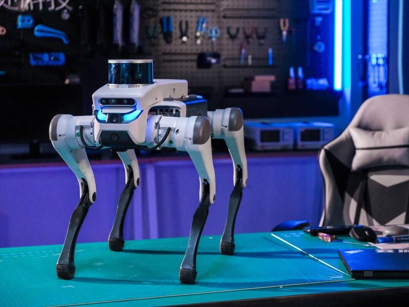 Deep Robotics Lite3: A Lightweight and Versatile Quadruped Robot