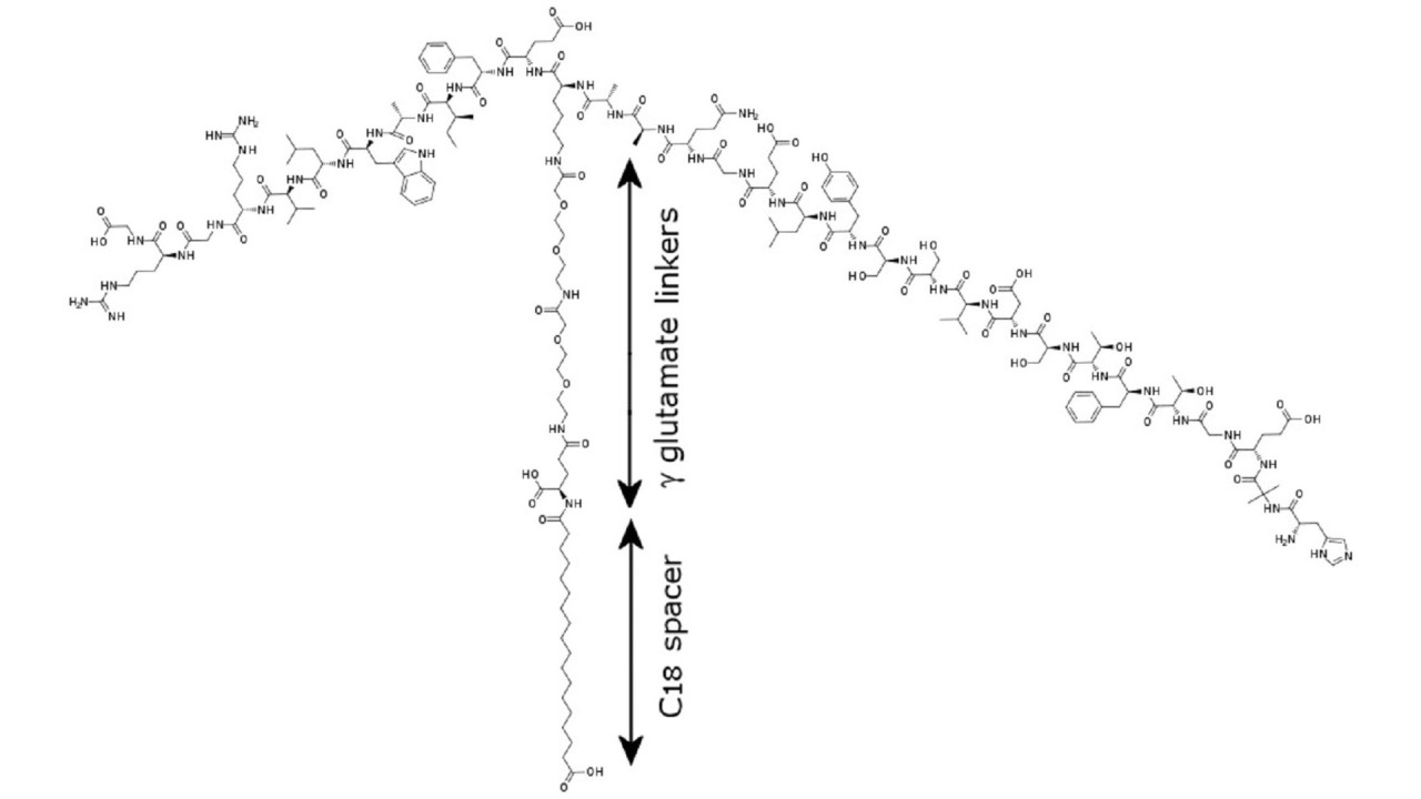 how is semaglutide synthesized synthesis Solid-Phase of Semaglutide: Using Novel Fragment Coupling Strategy to Overcome Aggregation, Improve yield and Quality Semaglutide - Wikipedia
