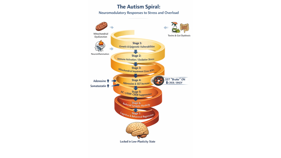 glutathione and autism recovery autistic The Role of in Glutathione Autism glutathione and autism recovery Non-gene-edited