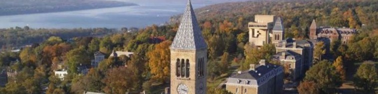 Emma Jonisch Student at Cornell University College of Arts and Emma Jonisch Student at Cornell University College of Arts and