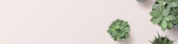 Ellie Bowman Clerk Chesapeake General District Court LinkedIn Ellie Bowman Clerk Chesapeake General District Court LinkedIn