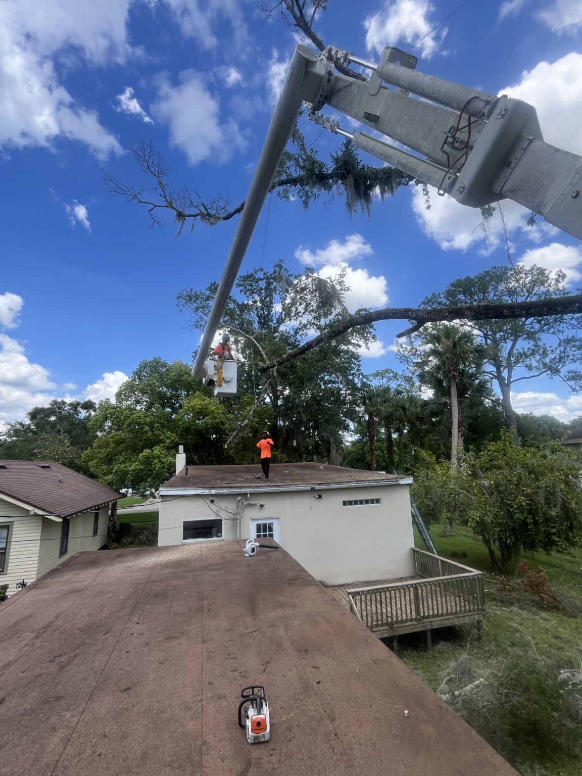 Gregory Sarovich on LinkedIn: Tree in a hard to reach precarious Gregory Sarovich on LinkedIn: Tree in a hard to reach precarious
