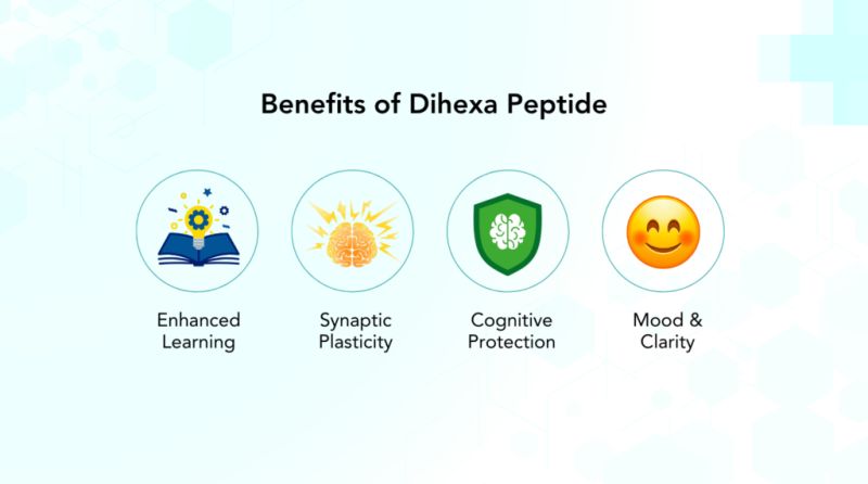 dihexa benefits research Peptide dihexa benefits research peptide cognitive