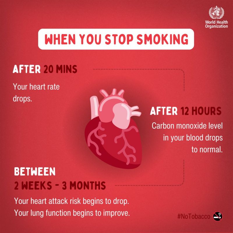 number of deaths due to cigarette smoking Annual from Smoking kills. Tobacco causes around