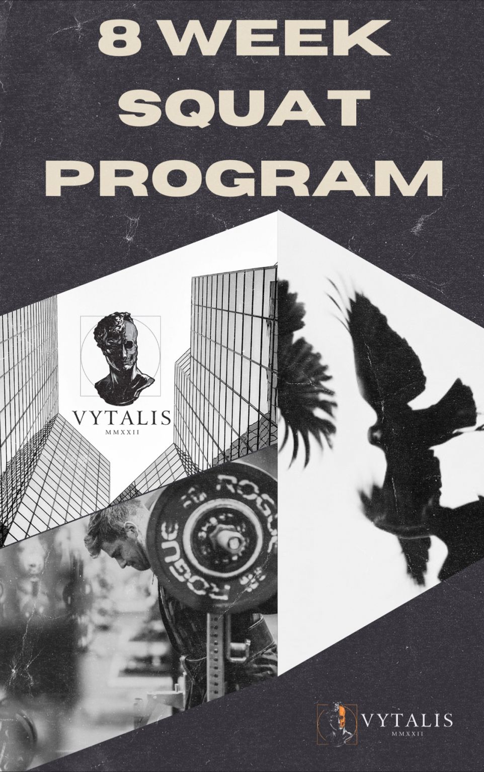 Peter Law on LinkedIn: We re live The 8 week squat program 8 weeks Peter Law on LinkedIn: We re live The 8 week squat program 8 weeks