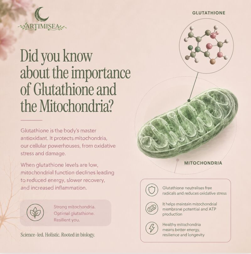 glutathione mitochondrial function Mitochondria and redox biology. GSH: reduced glutathione; SOD: I've always been curious about