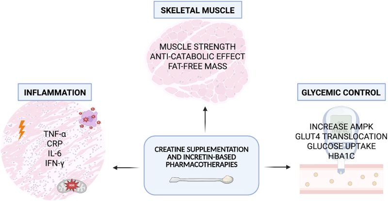 can you take creatine on semaglutide Optimizing Your Weight Loss Journey: Ozempic? PlexusDx Creatine For GLP-1 Users